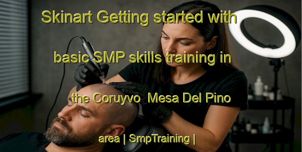 Skinart Getting started with basic SMP skills training in the Coruyvo  Mesa Del Pino area | SmpTraining | SmpClasses | SkinartTraining-Mexico